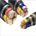 525162a5_armoured-cable
