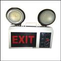 54ea9ade_exitlight