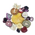 Natural Fruit Snacks_Orchard Farm Fresh Vacuum Dried Fruits (India) Pvt.Ltd.