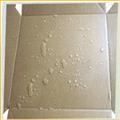 599374bc_water-resistant-coatings
