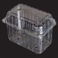 5a225b1d_punnets-packaging