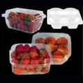 5aa791d5_Strawberry-Packing-Tray