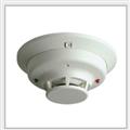 5f457b01_detector