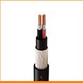 6286a945_fire-survival-cables