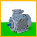 666a1536_energy-efficient-flame-proof-motors