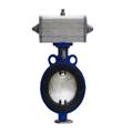 6bb3021a_wafer-rubber-sleeved-butterfly-valves-2