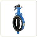 77537df6_butterfly_valve_diaphragm