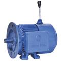 77e6f32b_crane-duty-motor