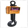 793bde83_masrte-crane-scales