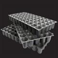 79850006_seedling-tray