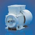 80828ab5_acmotor