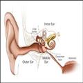 83a804dd_ear-treatments