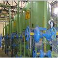 85ae1bd2_water-softening-plants-small