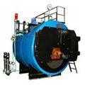 892c17fe_solid-fuel-fired-steamboile