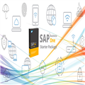 9582f055_sap-business-one-stater-package