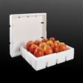 97cb2519_thermocol-for-fruits1