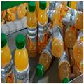 98ebf7b6_PVC-Shrink-Labels