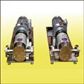 9951ceb5_lobe-pump-with-base-frame