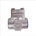9c6151af_forged-non-return-valves