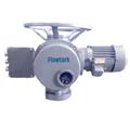 9e796c3c_three-phase-linear-thruster-type