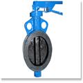 9f0be82b_ci-butterfly-valve