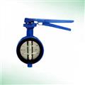 a6169235_manual-operated-actuated-butterfly-valves
