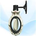 b57d8ceb_butterfly-valve2