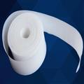 b70468e7_ptfe-guide-strip