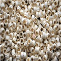 b8893faf_ceramic-ferrules