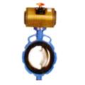 b897d807_butterfly-valve-with-pneumatic-actuator-operated
