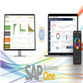 be691e81_sap-business-one