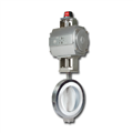 c2a9aadb_lined-butterfly-valve-with-actuator