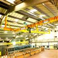 c6f1461a_under-slung-cranes