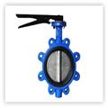 c709d85a_butterfly-valve
