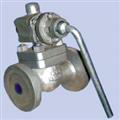 cb91ff1e_casts_steel_blowdown_valves