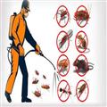 cd87035d_pest-control-services