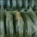 ce2dbda0_air-bubble-bags-and-cut-sheets