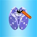 ceb65af0_plug-valves03
