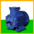 d0c37158_crane-and-hoist-duty-motors