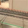 d6a7b0c1_chain-conveyor02