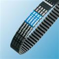 dd6606ff_omega_HL