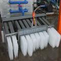 e5864efb_iceplant