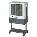 eadd724e_UCS-06-domestic-air-cooler