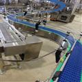 eaee5933_hygiene-conveyors-2
