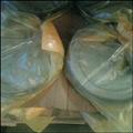 f3696b78_anti-corosive-plastic-bags