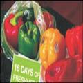 f4af20f6_keep-fresh-bags-3