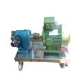 f4f55c4f_lobe-pump1