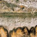 f57ff454_soil-pollution