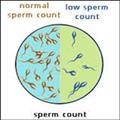 f905646c_infertility2