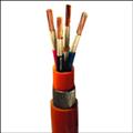 fa755f84_fire-survival-circuit-integrity-cables